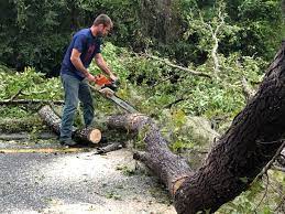 Best Seasonal Cleanup (Spring/Fall)  in Lake City, GA